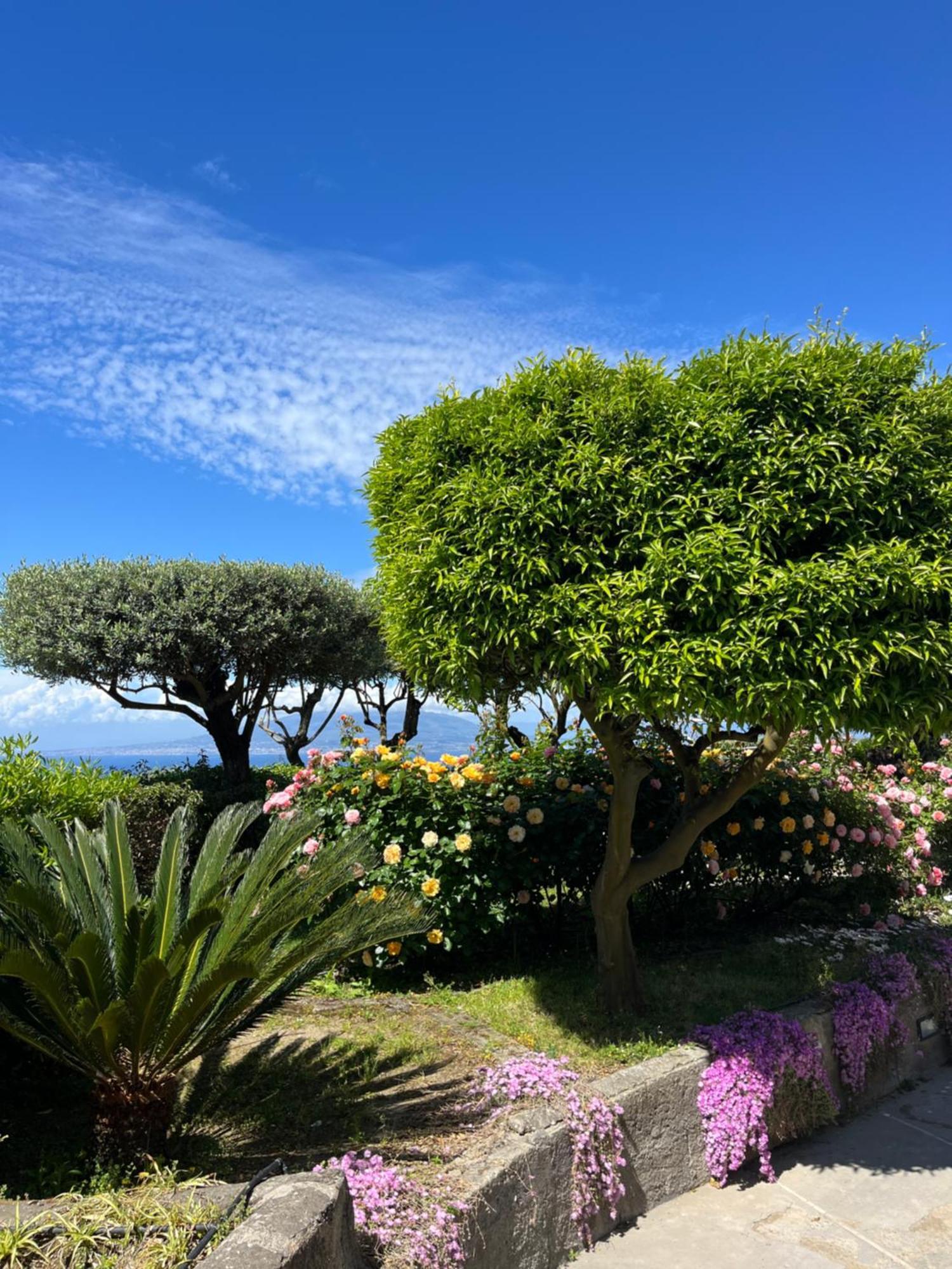 ホテル Sorrento Garden エクステリア 写真
