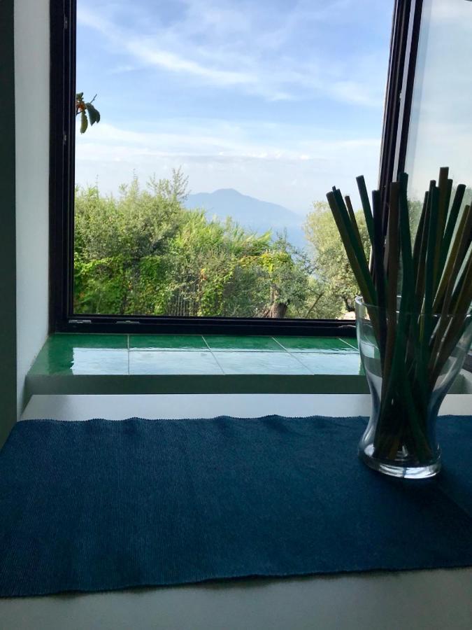 ホテル Sorrento Garden エクステリア 写真